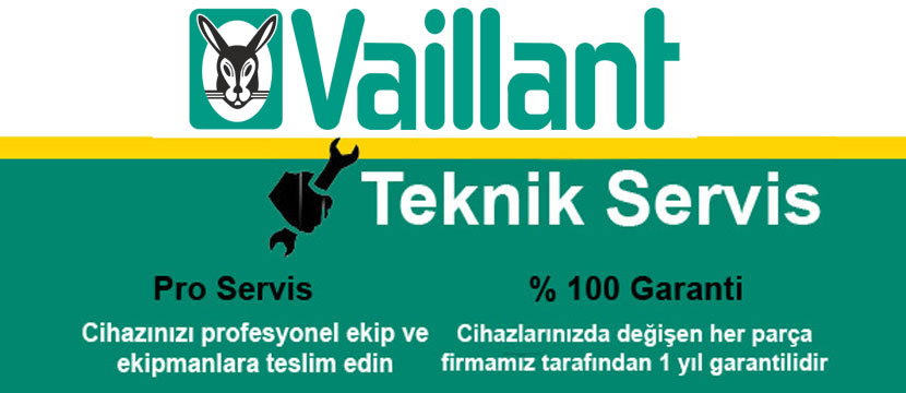 Beşiktaş Vaillant Servisi 