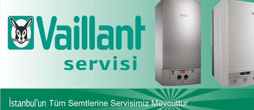 istanbul Vaillant Kazan Servisi 